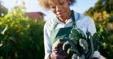 How You Can Support a More Sustainable Food System for a Healthier Future